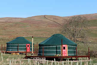 Two Yurts